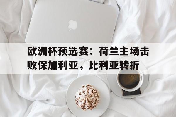 欧洲杯预选赛：荷兰主场击败保加利亚，比利亚转折的简单介绍